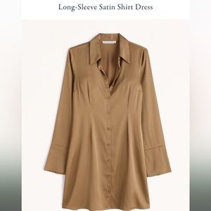 NWT Abercrombie and Fitch Silky Button Down Dress